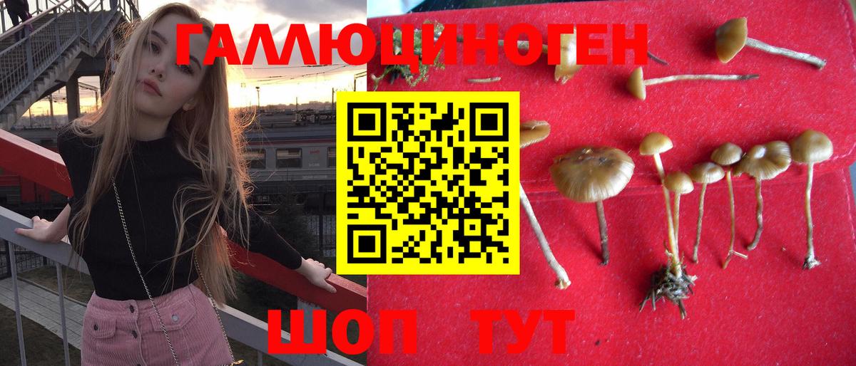 Псилоцибиновые грибы Psilocybine cubensis  Вход с VPN  купить  сайты  Касимов 