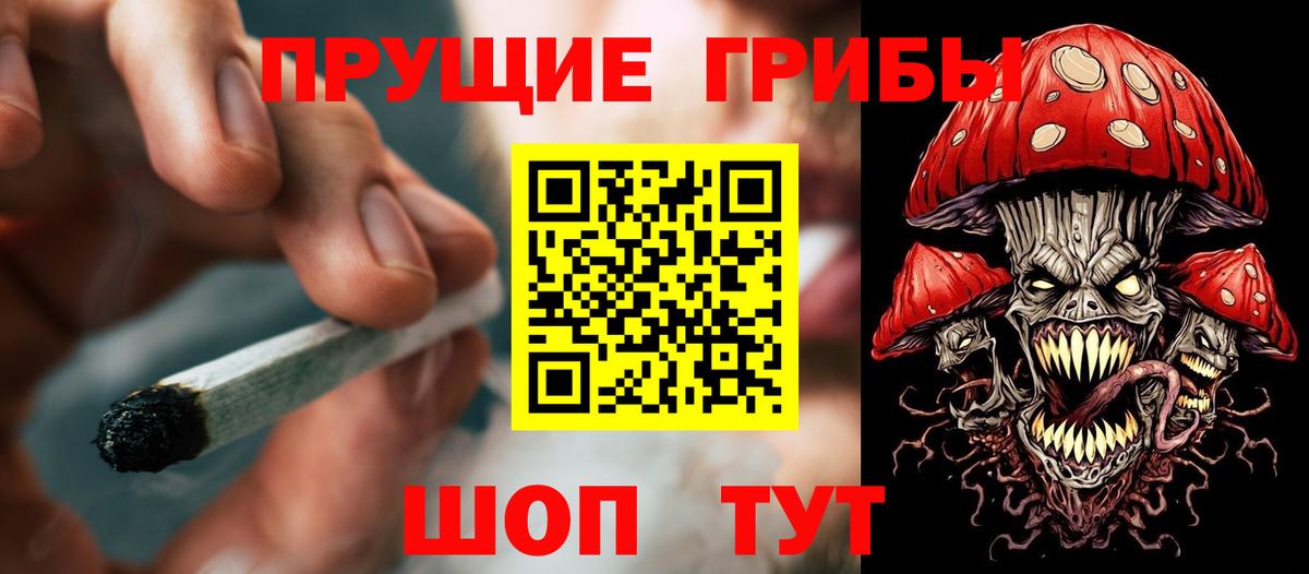 Псилоцибиновые грибы Cubensis Касимов
